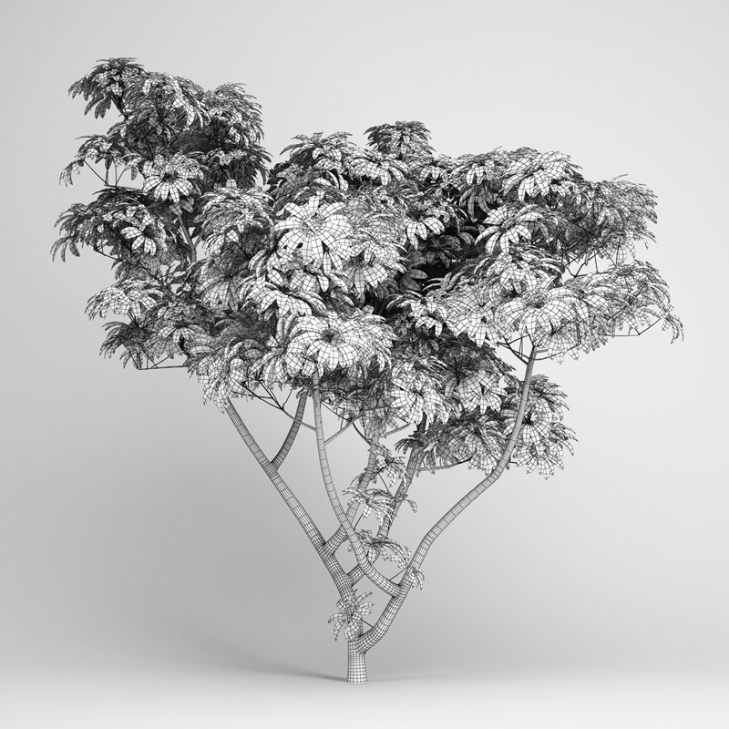 Umbrella Tree 3D model_1