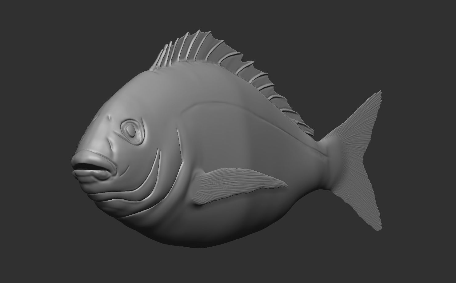 Fish Animated Sea Bream 3D model_7