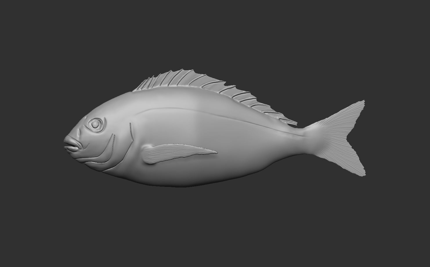 Fish Animated Sea Bream 3D model_5