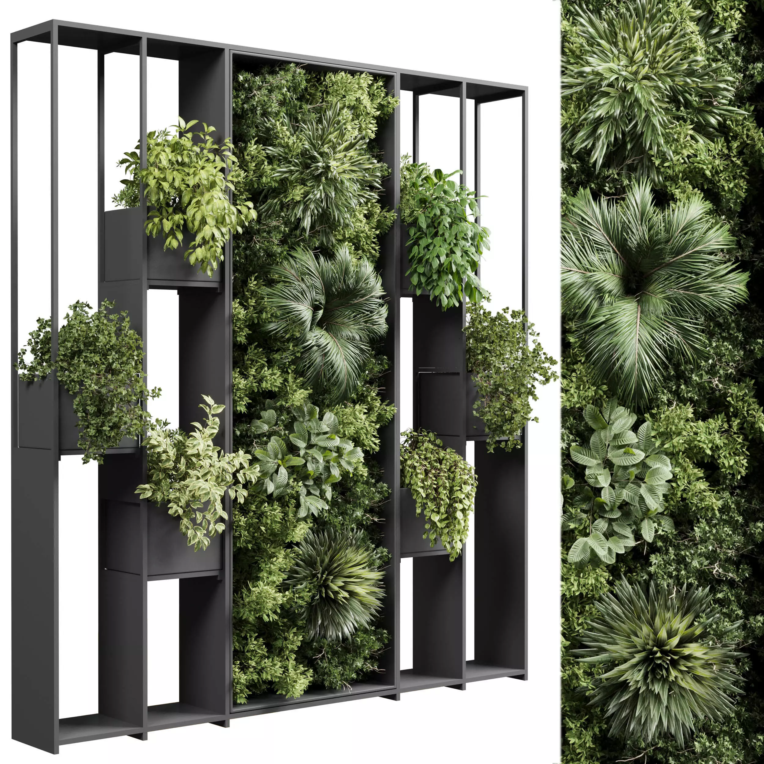 plants set partition in metal Vertical graden wall decor box Low-poly 3D model_0