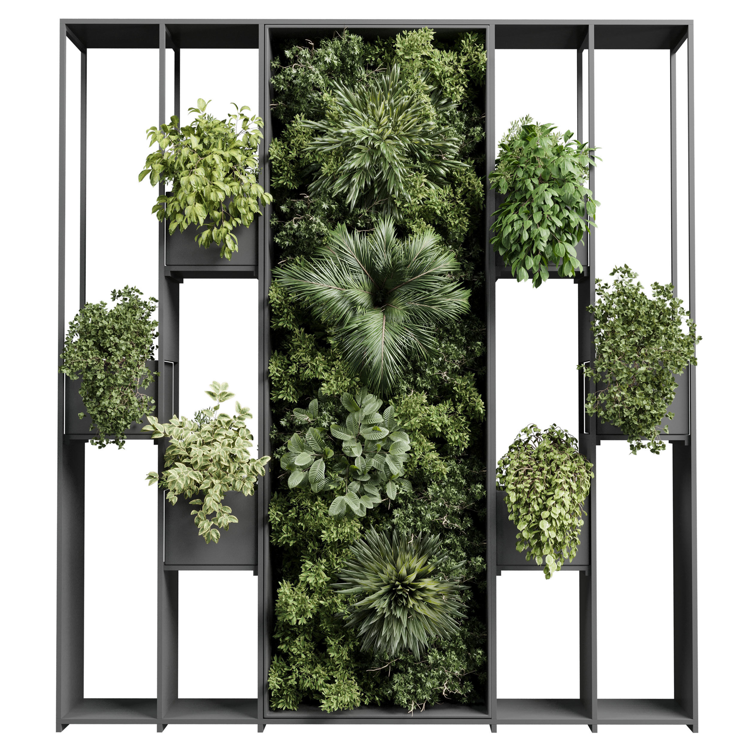 plants set partition in metal Vertical graden wall decor box Low-poly 3D model_1
