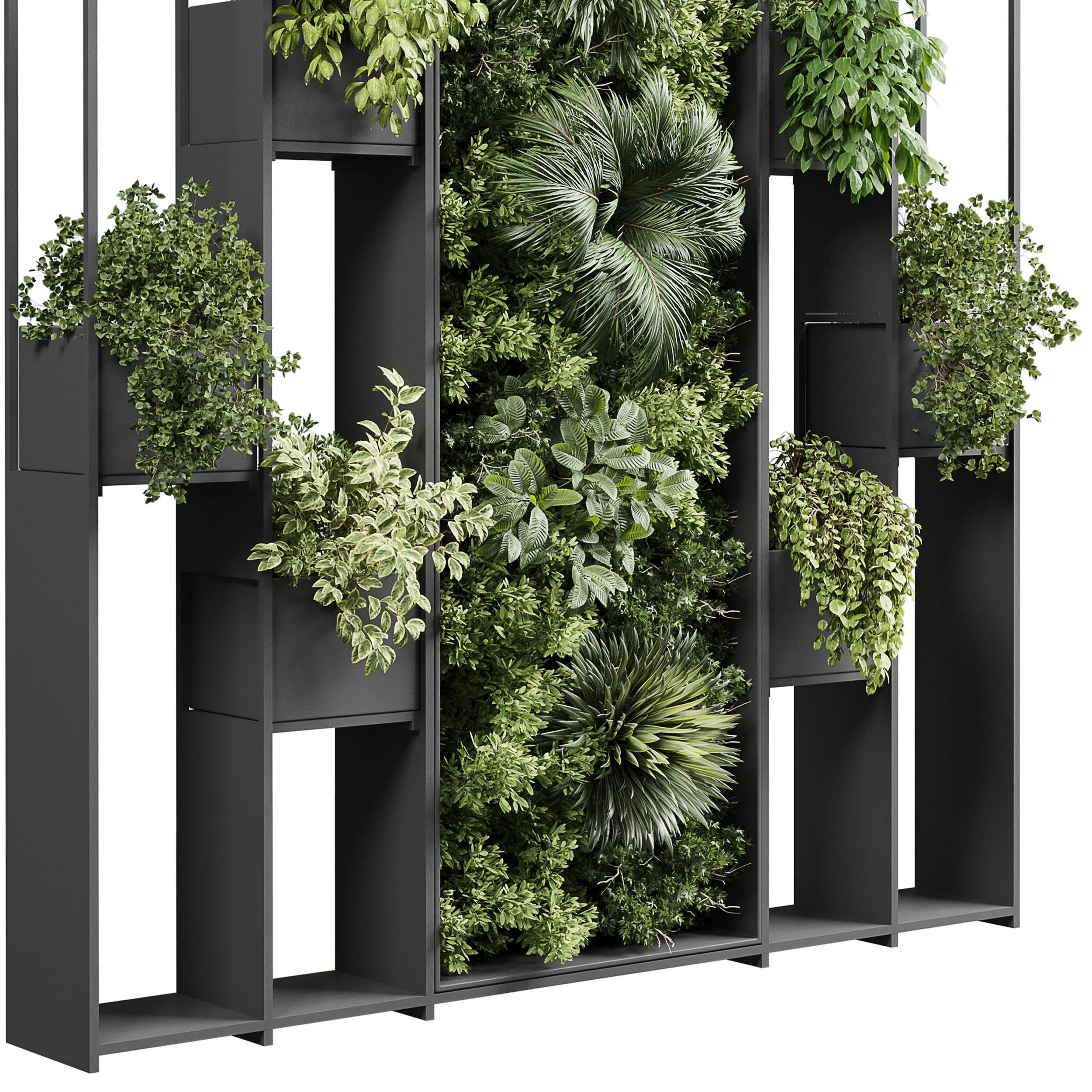 plants set partition in metal Vertical graden wall decor box Low-poly 3D model_3