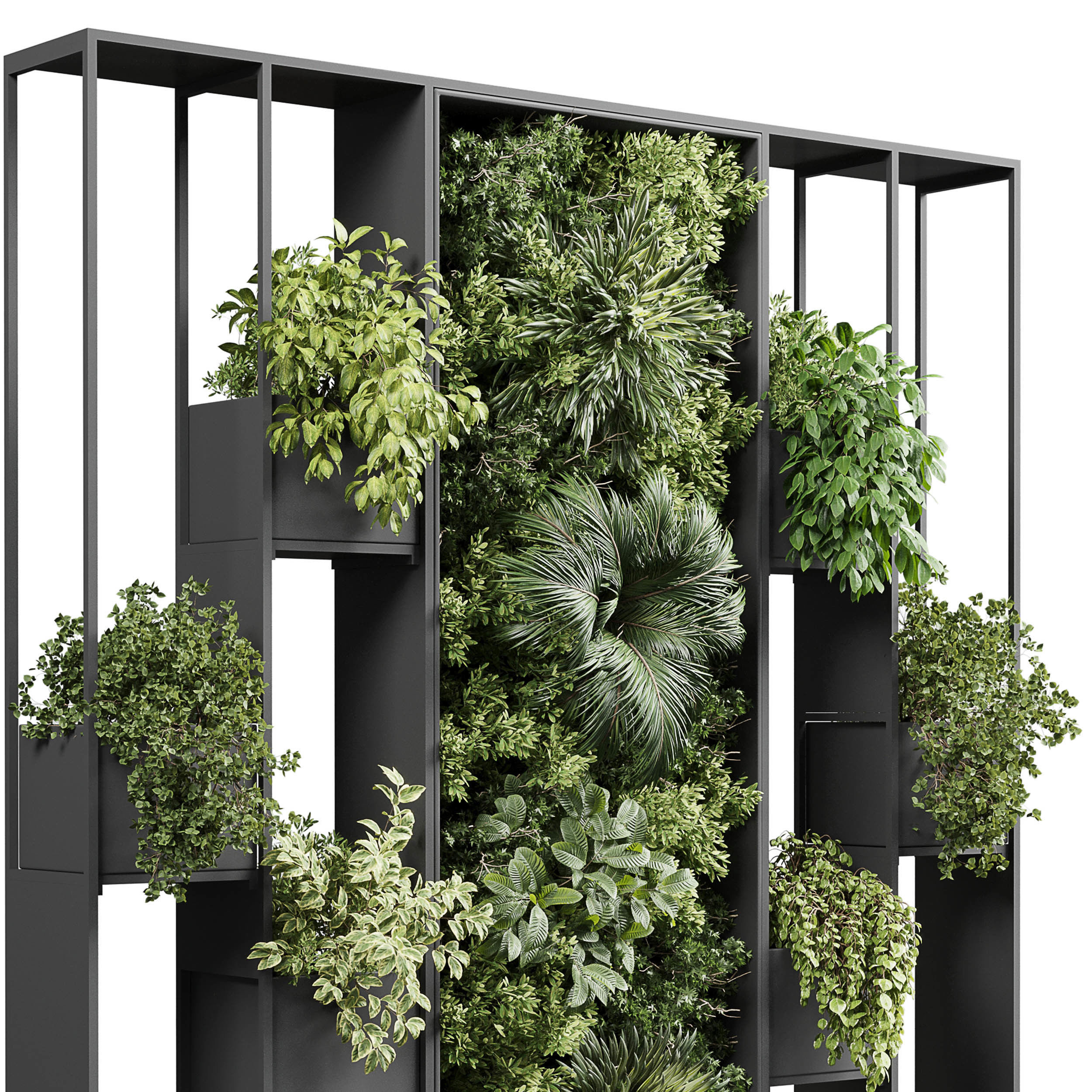 plants set partition in metal Vertical graden wall decor box Low-poly 3D model_2