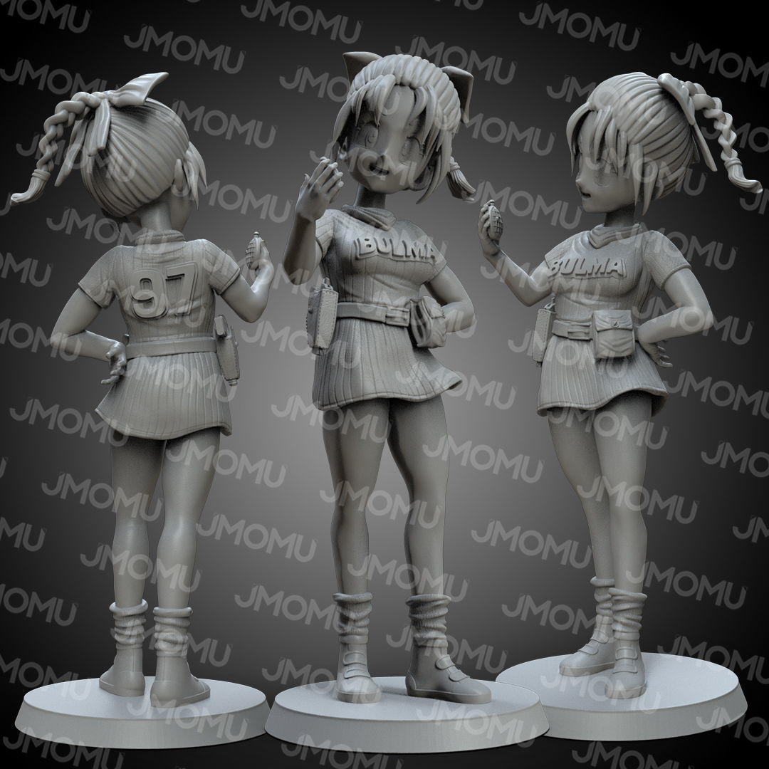 Bulma 3D print model_1