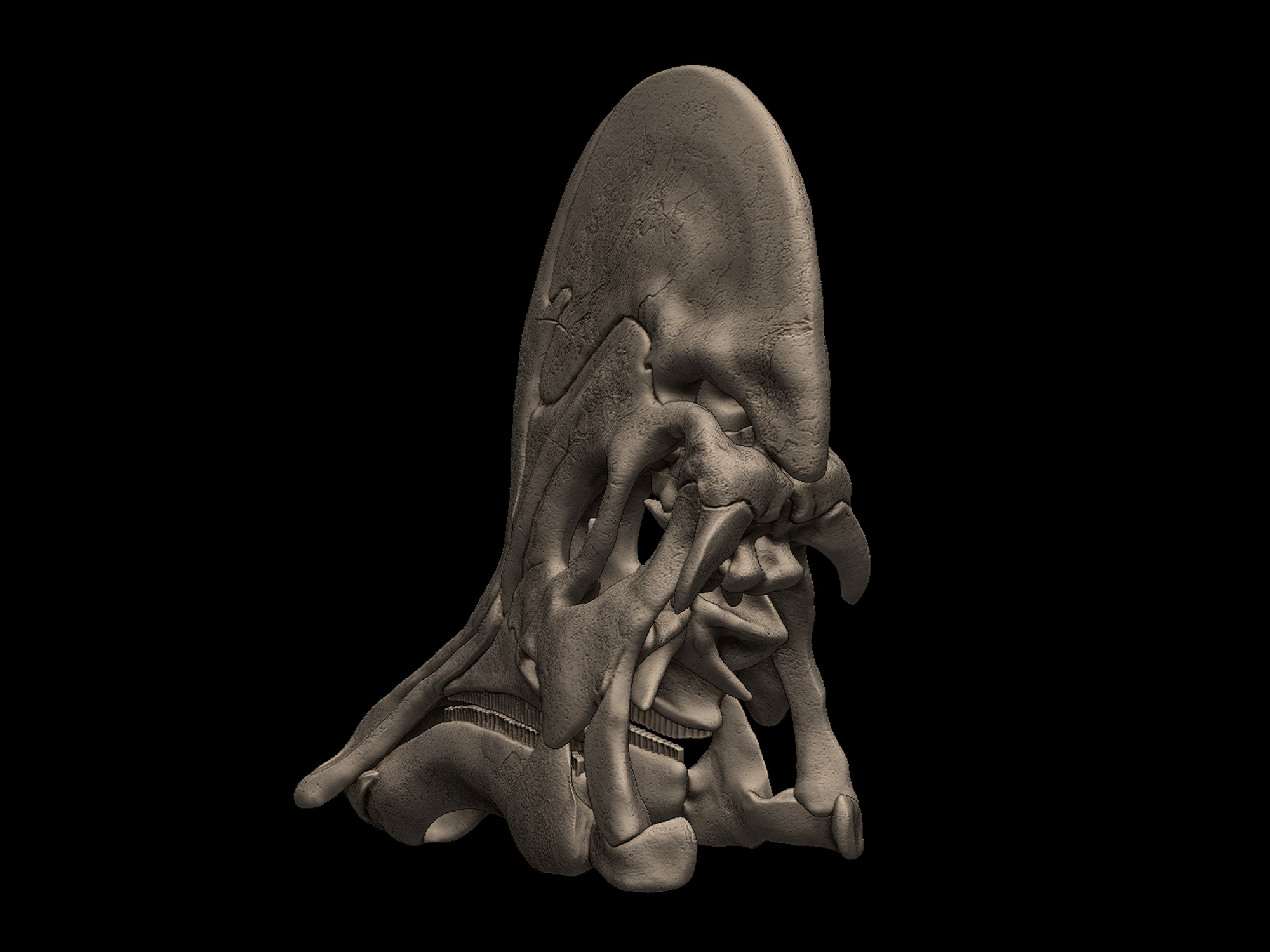 Corythosaurus Skull 3D print model_3