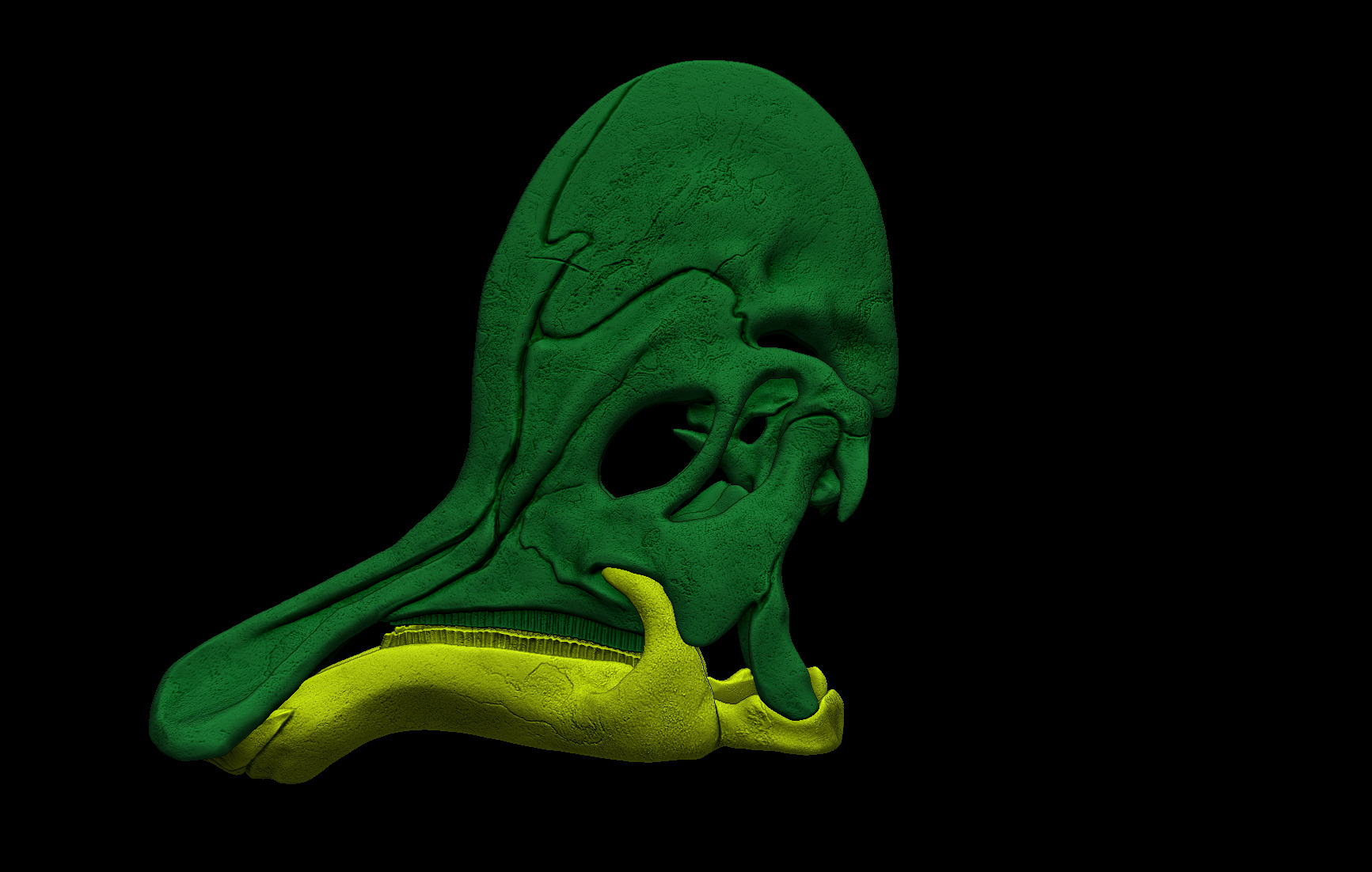 Corythosaurus Skull 3D print model_6