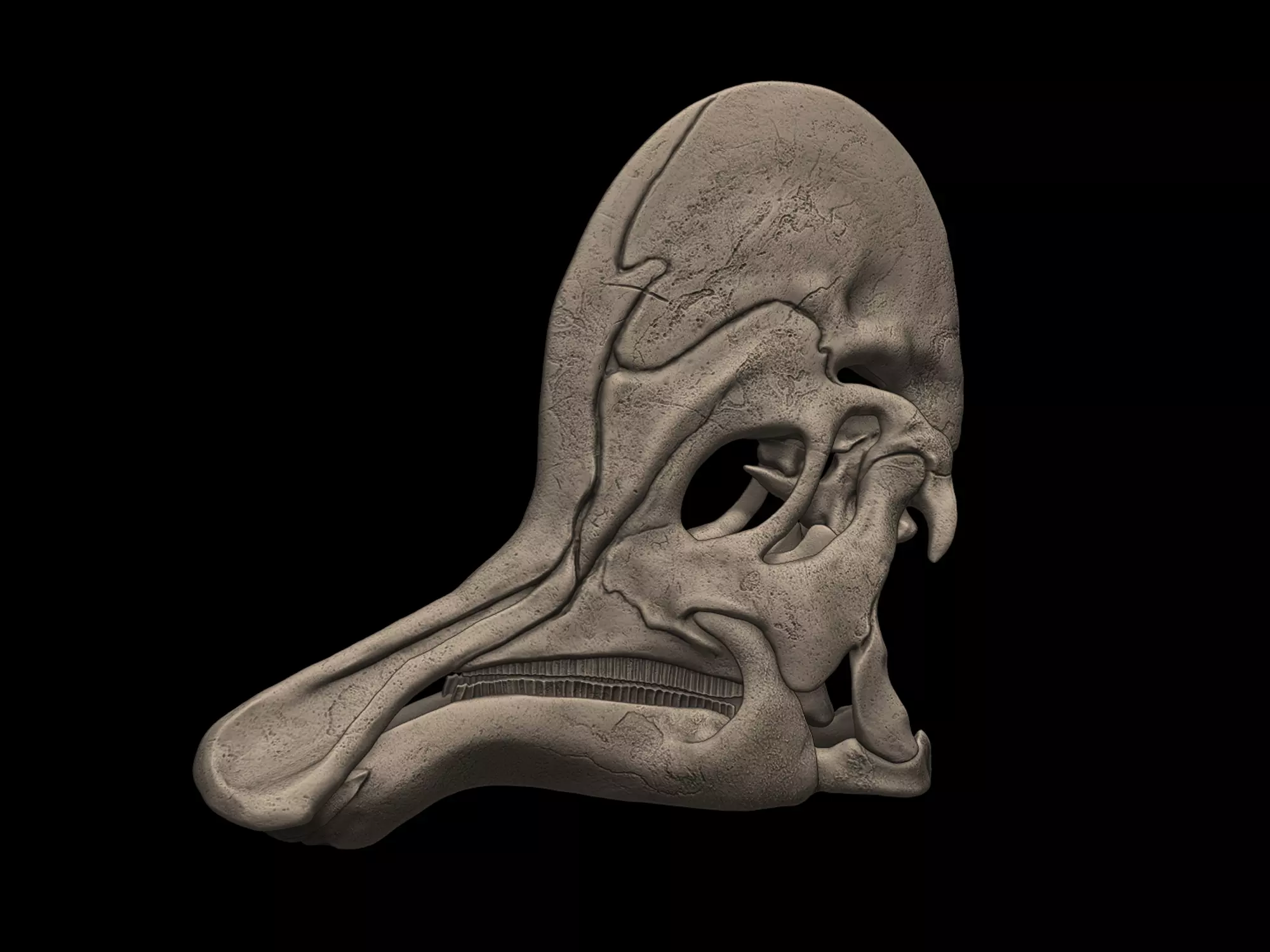 Corythosaurus Skull 3D print model_0
