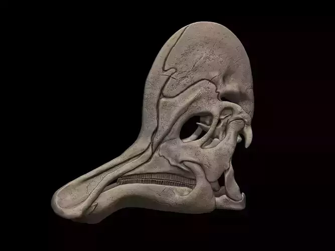 Corythosaurus Skull 3D print model