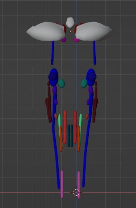 3D Model of Cranial Nerve Nuclei 3D model_12