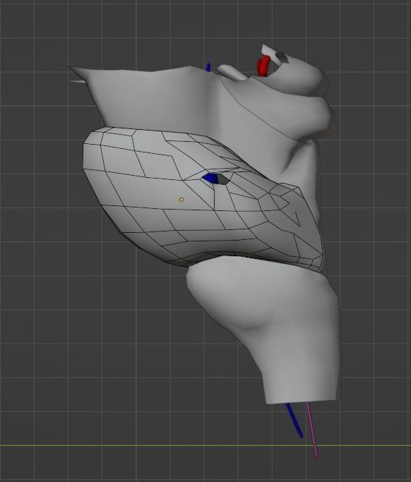 3D Model of Cranial Nerve Nuclei 3D model_8