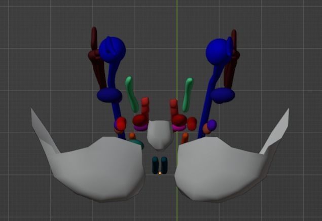 3D Model of Cranial Nerve Nuclei 3D model_16