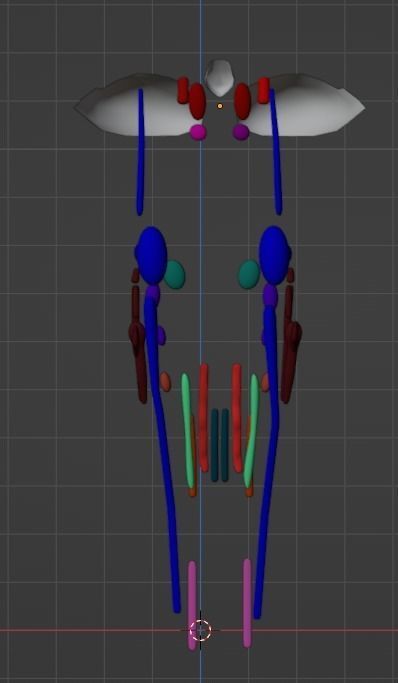 3D Model of Cranial Nerve Nuclei 3D model_15