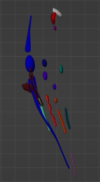3D Model of Cranial Nerve Nuclei 3D model_20