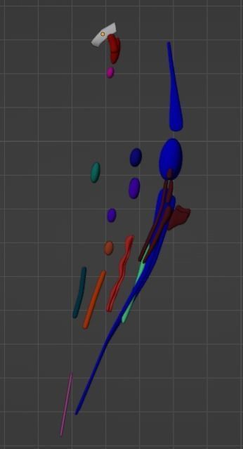 3D Model of Cranial Nerve Nuclei 3D model_19
