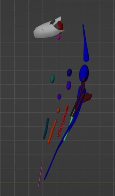 3D Model of Cranial Nerve Nuclei 3D model_13