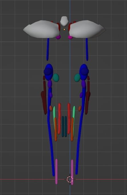 3D Model of Cranial Nerve Nuclei 3D model_14