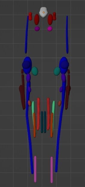 3D Model of Cranial Nerve Nuclei 3D model_18