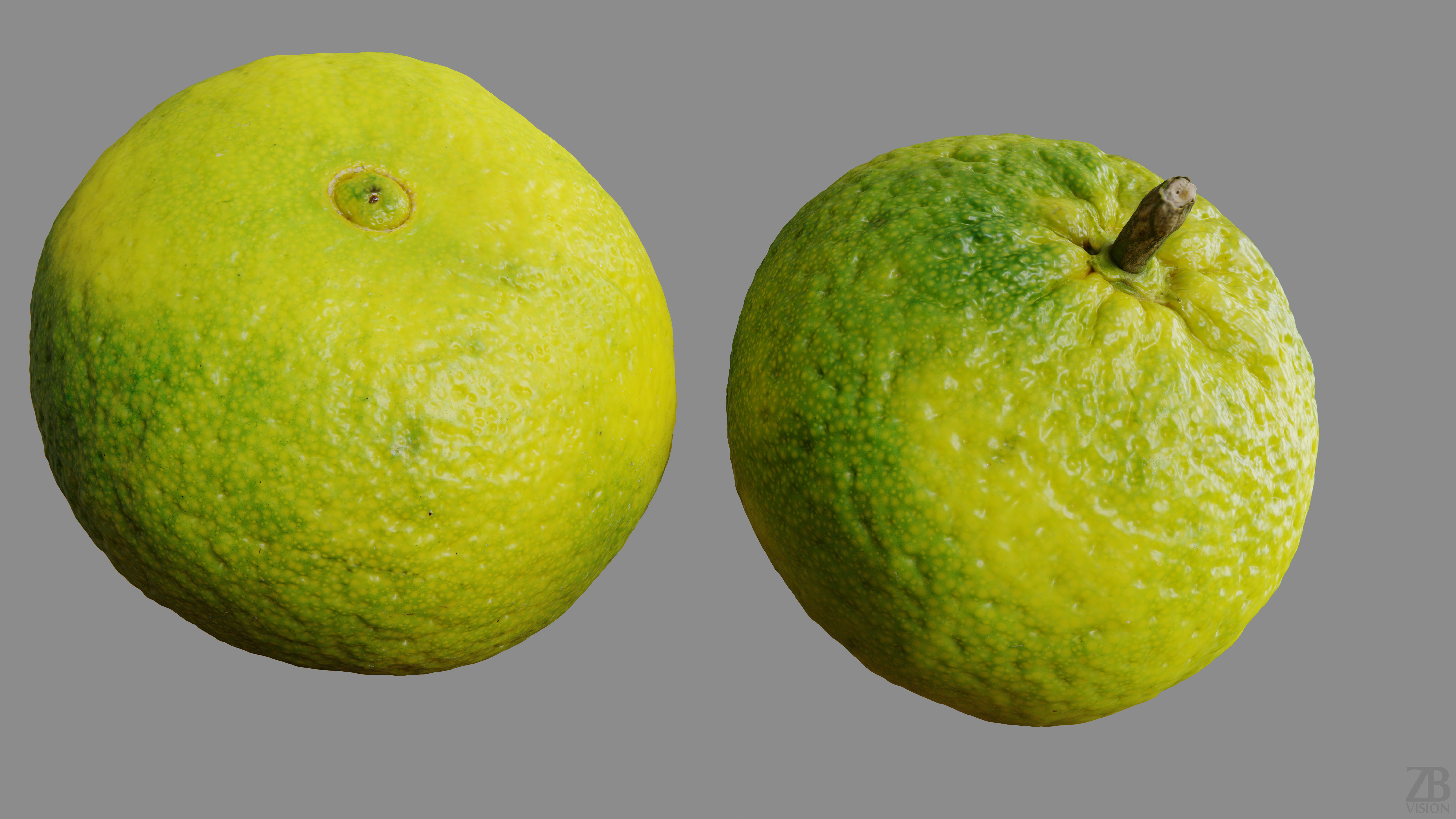 Satsuma 3D model_9