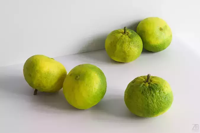 Satsuma 3D model