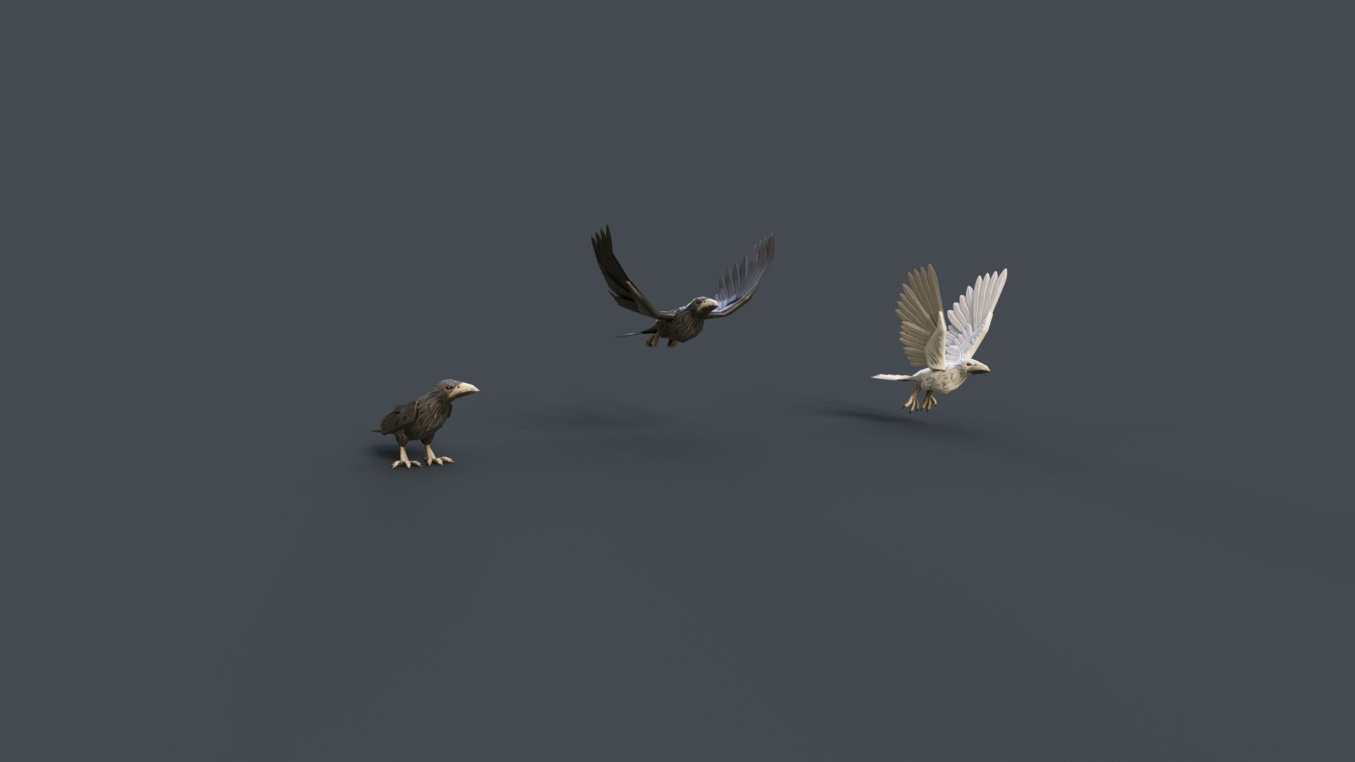 Mobile Crow Low-poly 3D model_2