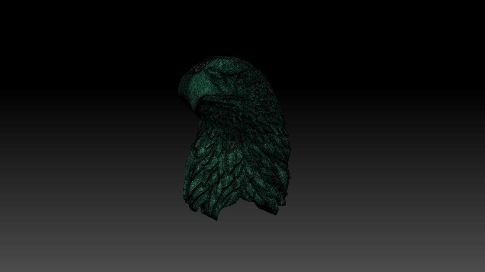 3D model RELIEF HEAD EAGLE  3D print model_26