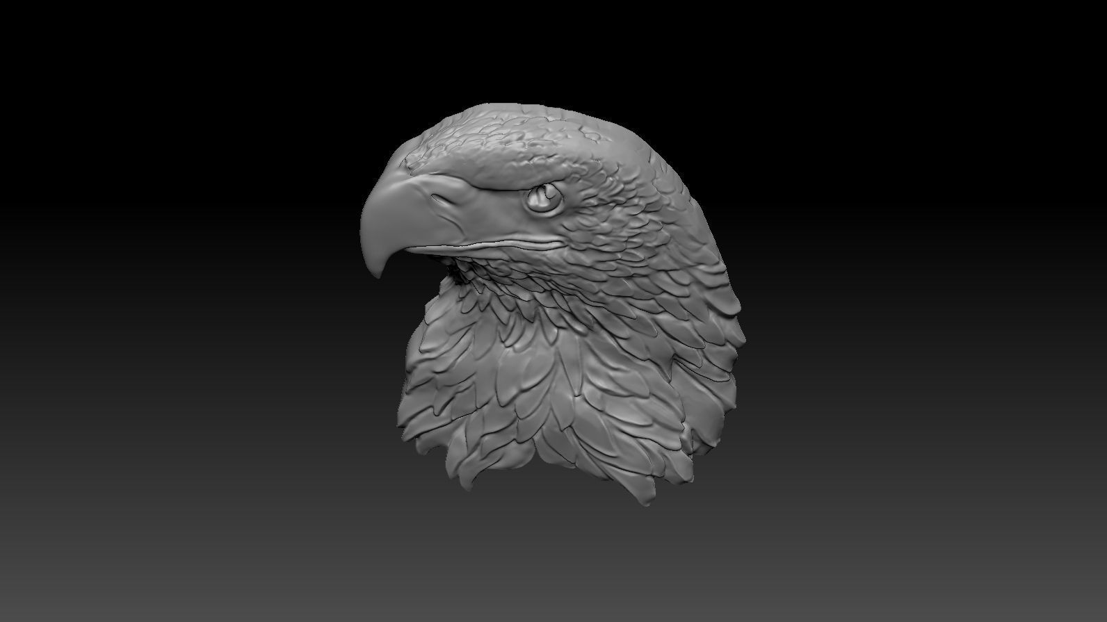 3D model RELIEF HEAD EAGLE  3D print model_15