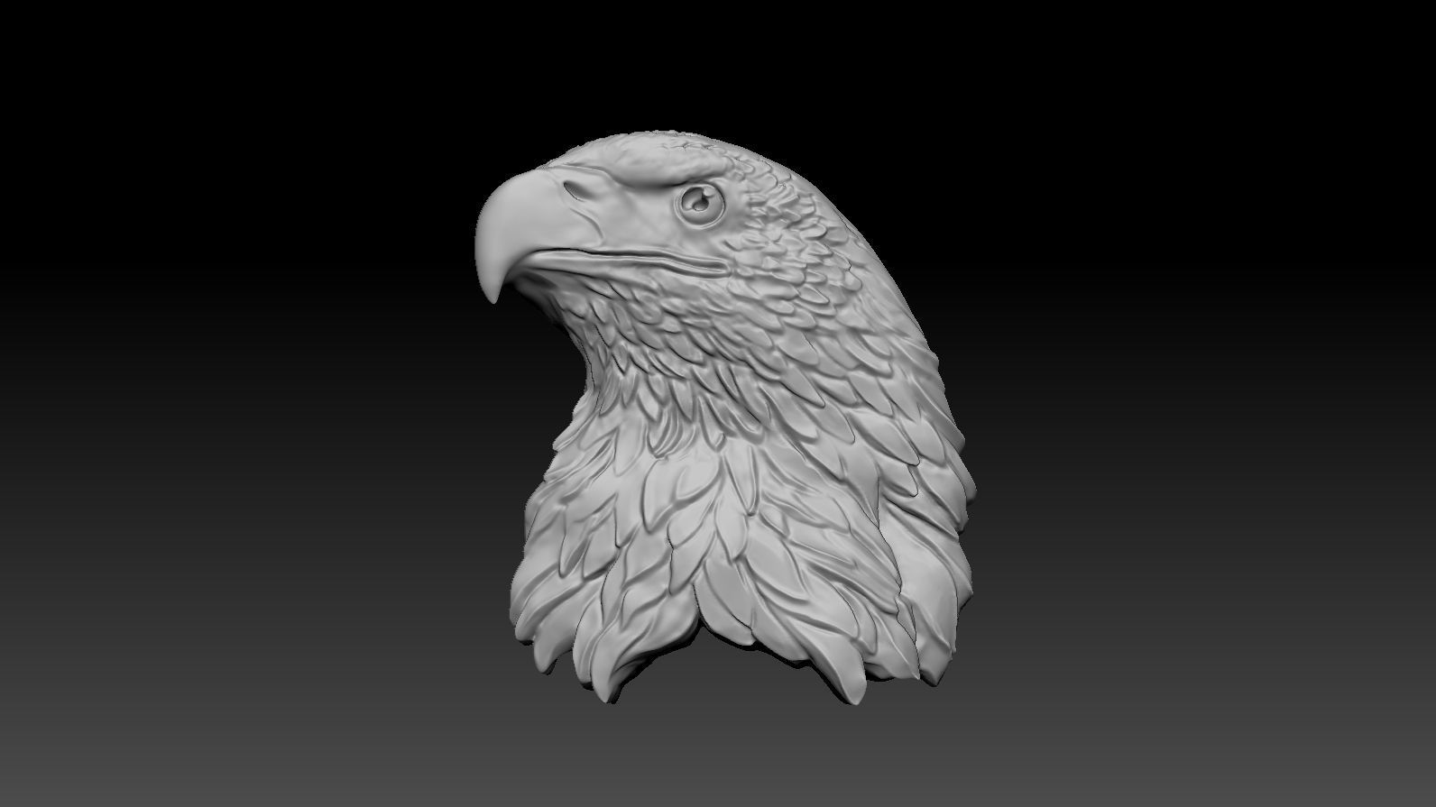 3D model RELIEF HEAD EAGLE  3D print model_17