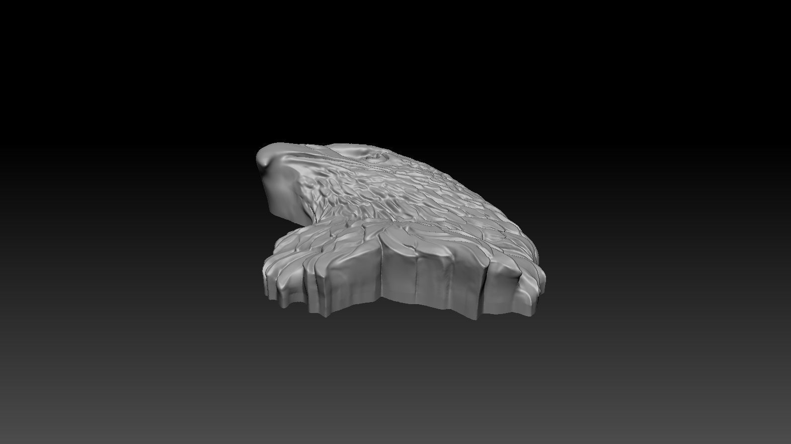 3D model RELIEF HEAD EAGLE  3D print model_22