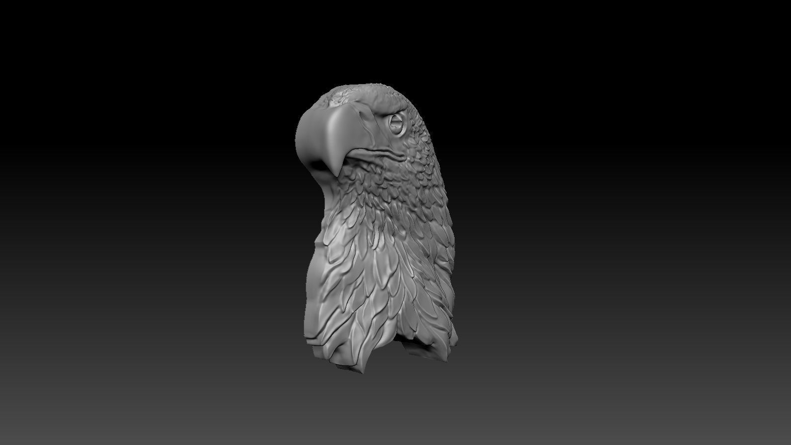 3D model RELIEF HEAD EAGLE  3D print model_9
