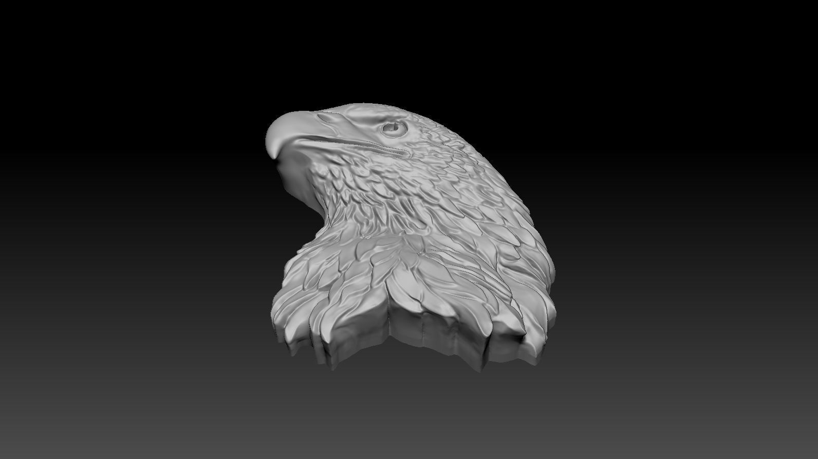 3D model RELIEF HEAD EAGLE  3D print model_20