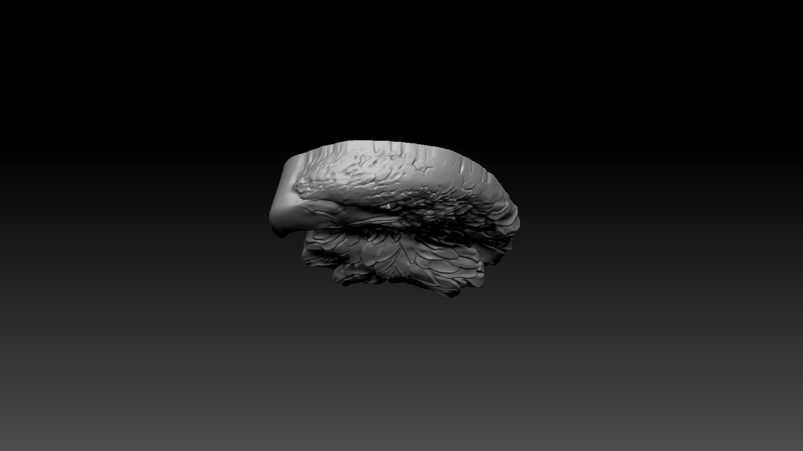 3D model RELIEF HEAD EAGLE  3D print model_12