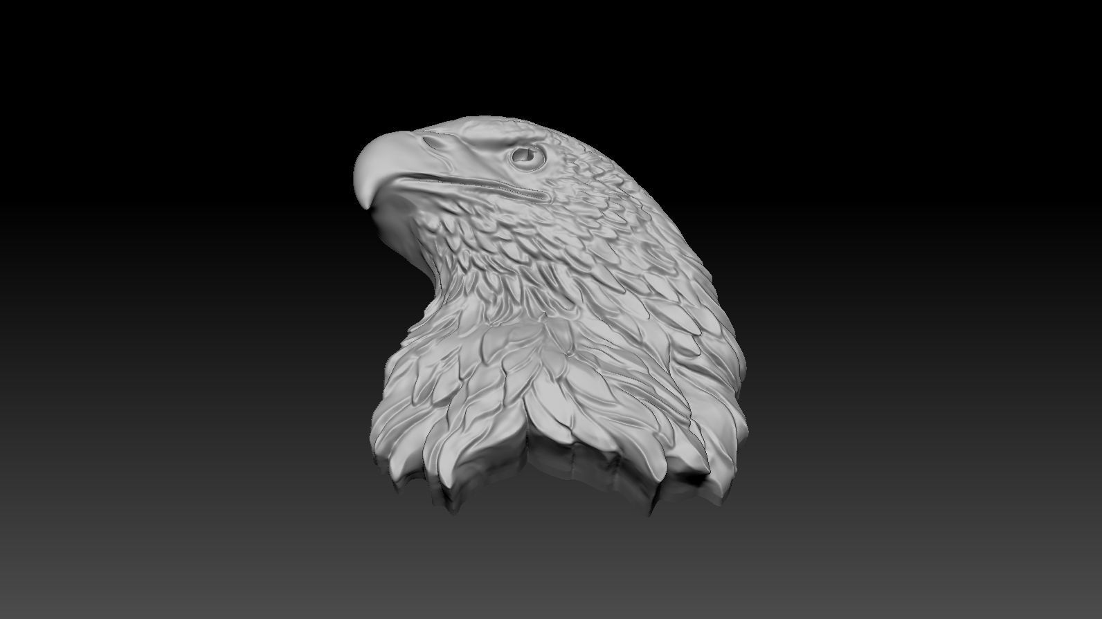 3D model RELIEF HEAD EAGLE  3D print model_19