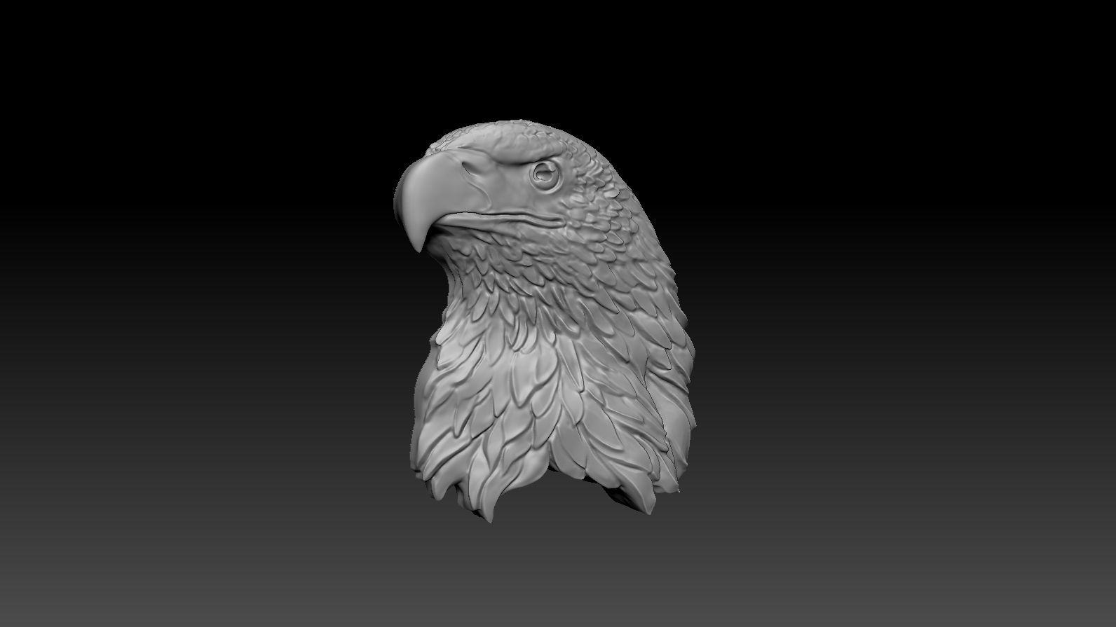 3D model RELIEF HEAD EAGLE  3D print model_7