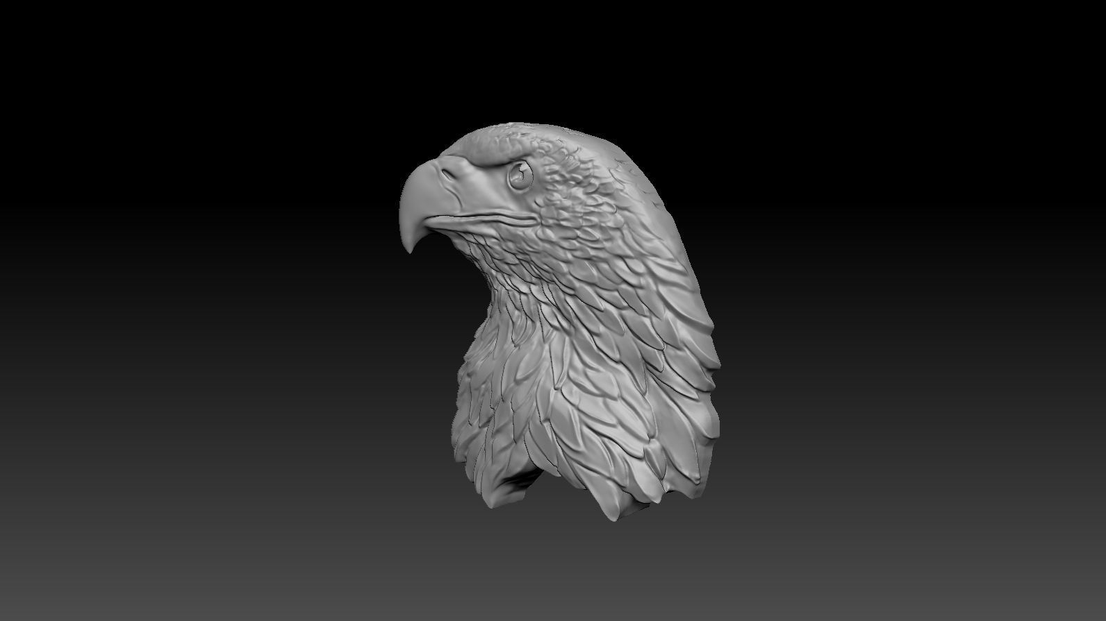 3D model RELIEF HEAD EAGLE  3D print model_2