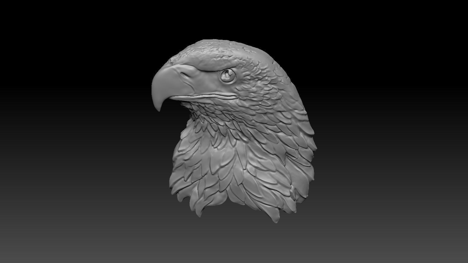 3D model RELIEF HEAD EAGLE  3D print model_34