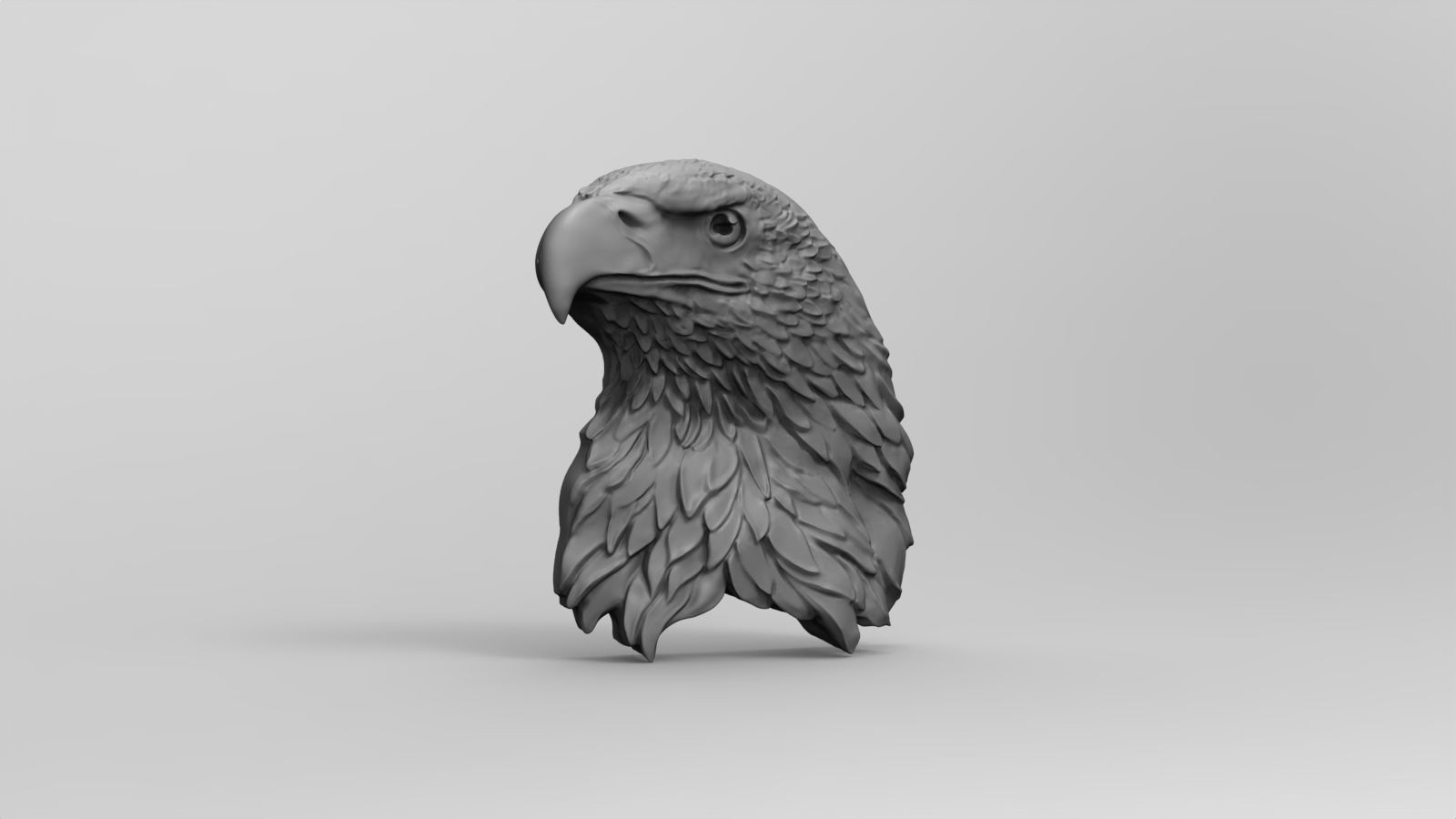 3D model RELIEF HEAD EAGLE  3D print model_35