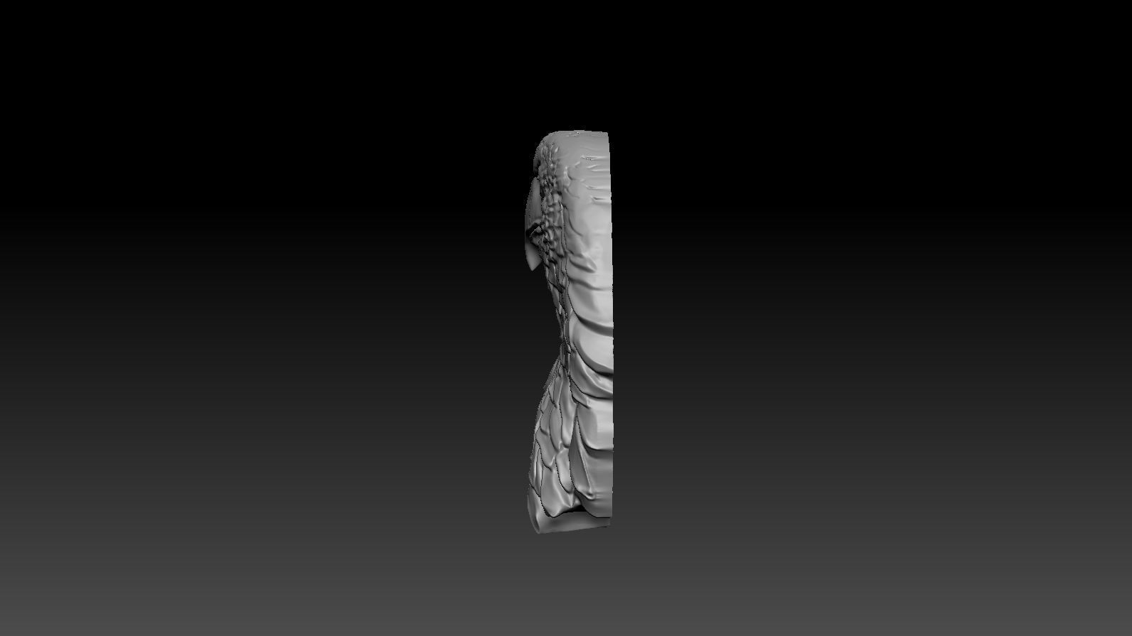 3D model RELIEF HEAD EAGLE  3D print model_6