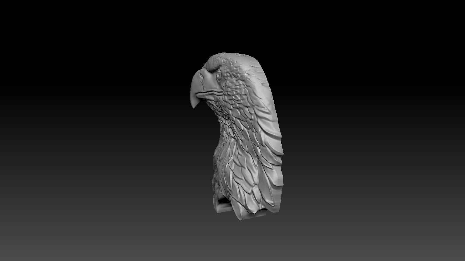 3D model RELIEF HEAD EAGLE  3D print model_4