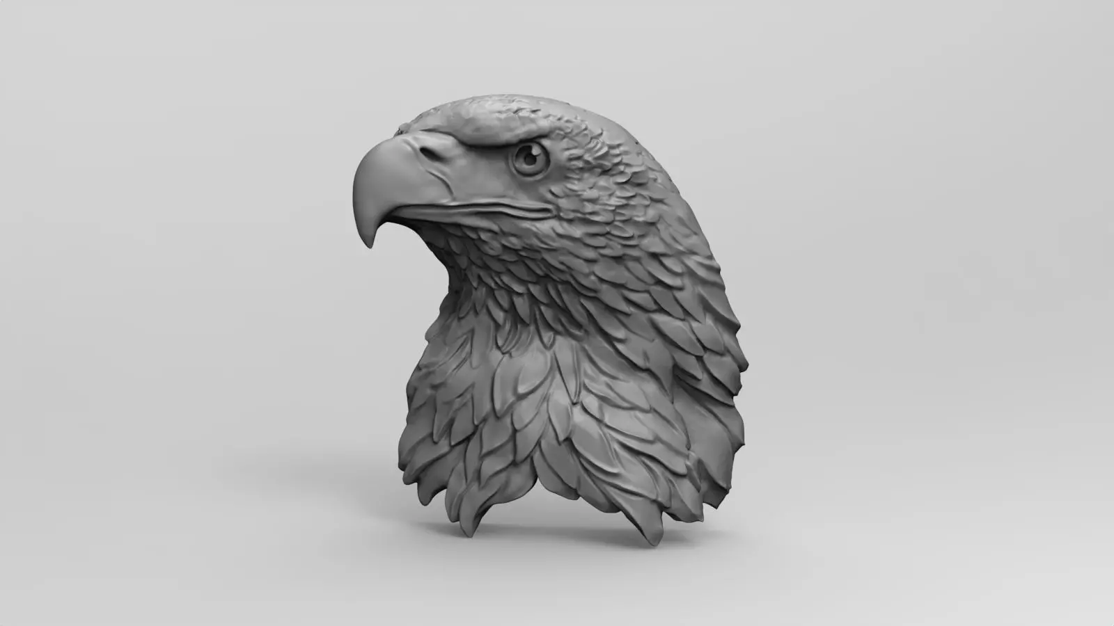3D model RELIEF HEAD EAGLE  3D print model_0