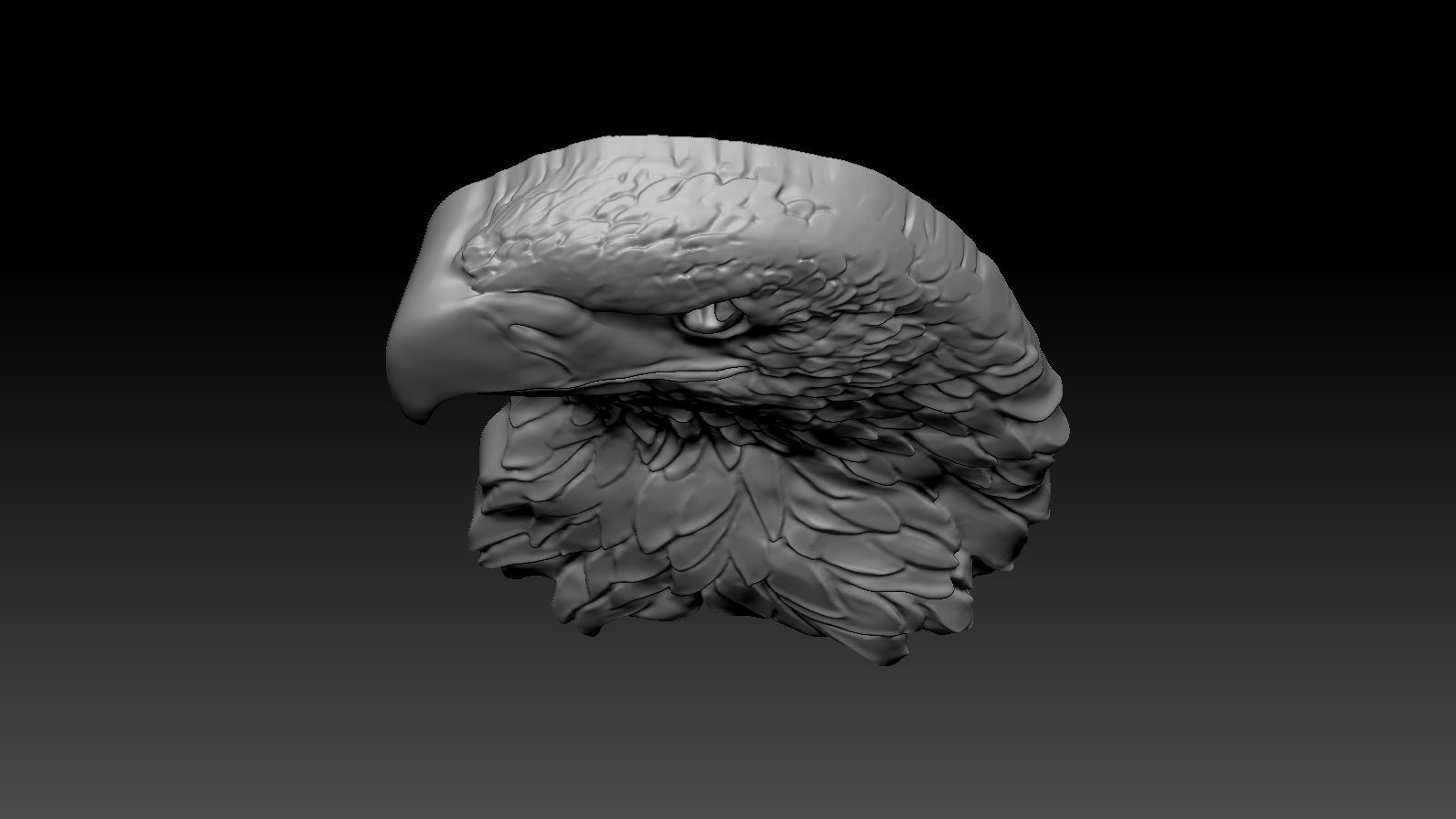 3D model RELIEF HEAD EAGLE  3D print model_13