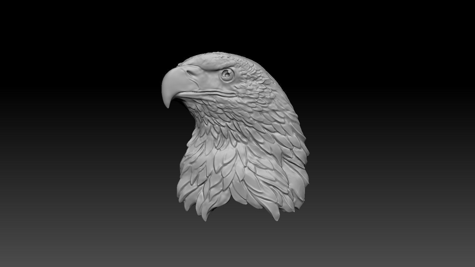 3D model RELIEF HEAD EAGLE  3D print model_33