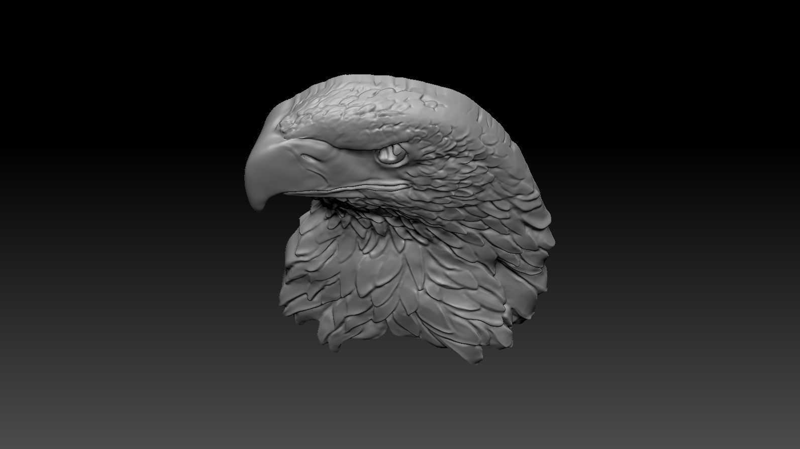 3D model RELIEF HEAD EAGLE  3D print model_14