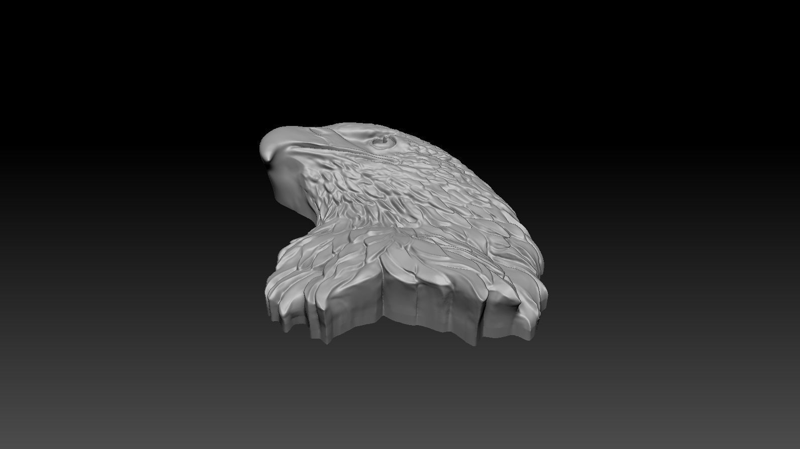 3D model RELIEF HEAD EAGLE  3D print model_21