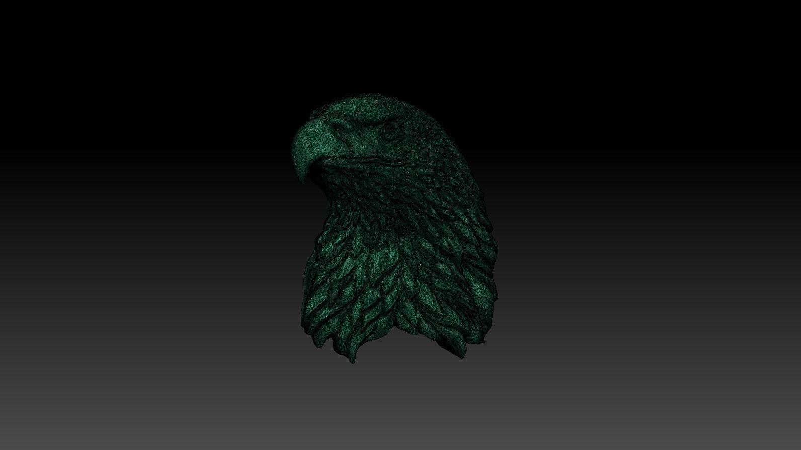 3D model RELIEF HEAD EAGLE  3D print model_25