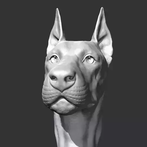 Doberman Head AM17 3D print model 3D print model