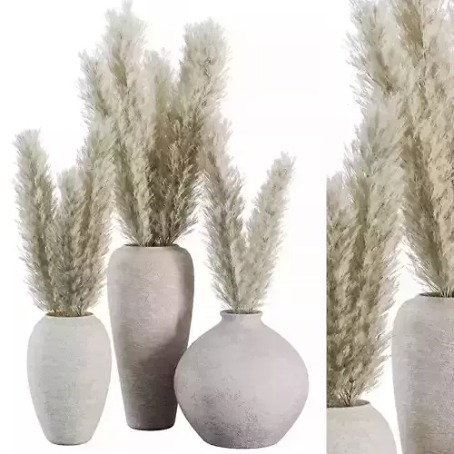 Indoor Plant SetV23 - Pampas old pot