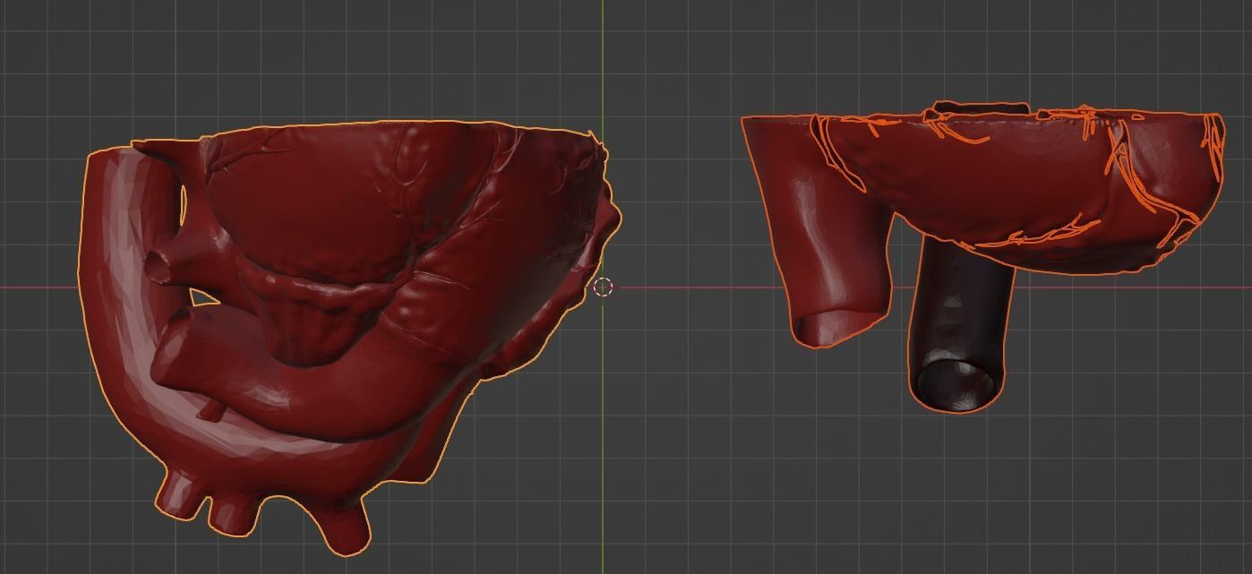 3D Model of Heart Chambers 2 pack 3D model_47