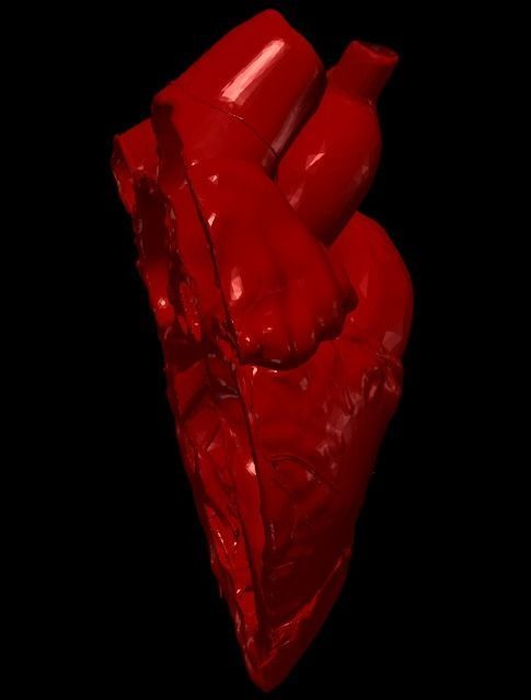 3D Model of Heart Chambers 2 pack 3D model_10