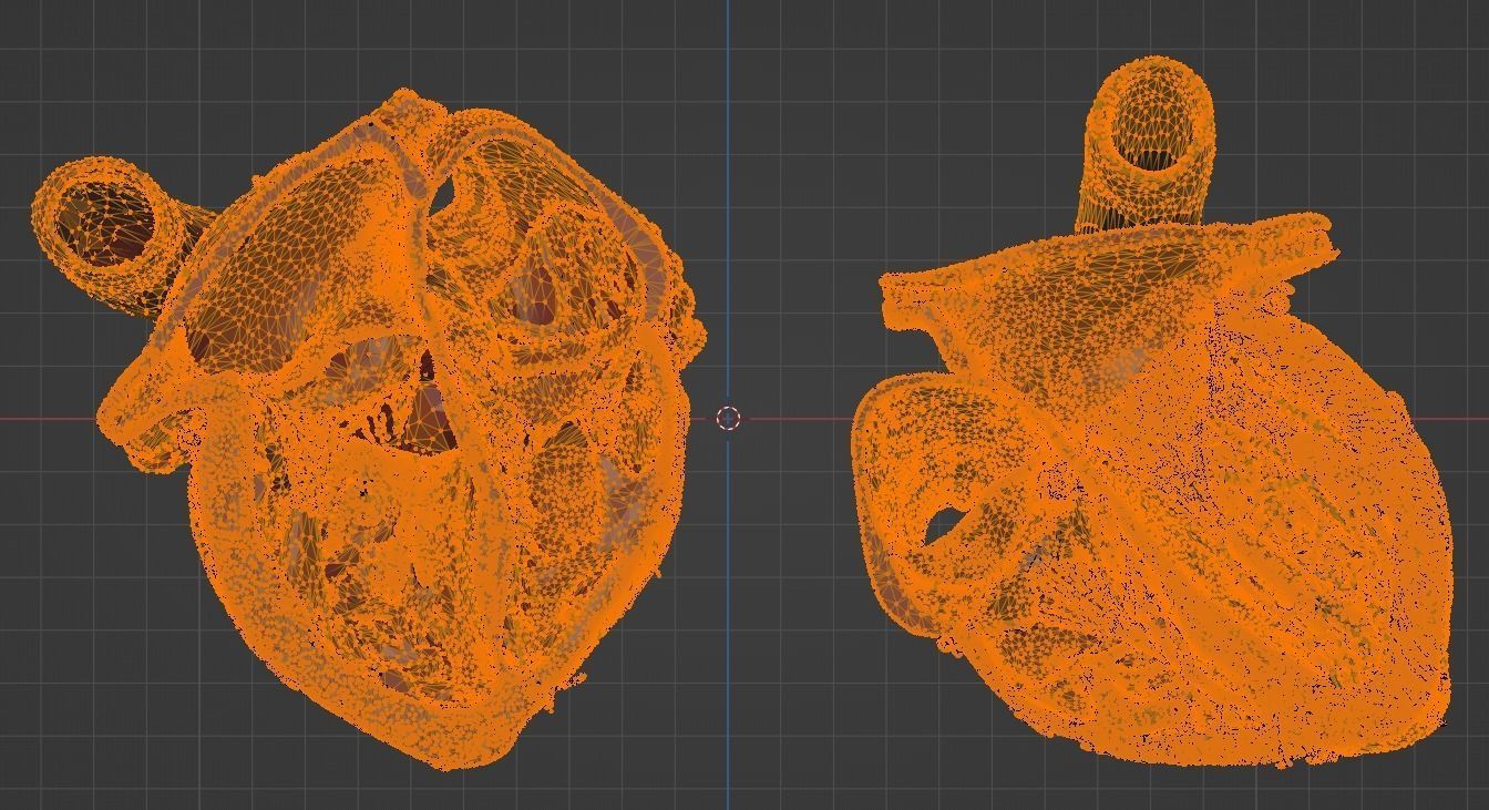 3D Model of Heart Chambers 2 pack 3D model_31