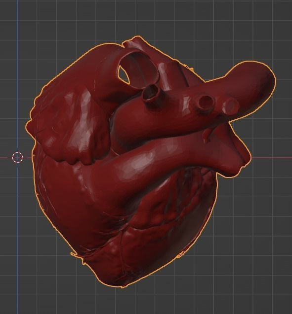 3D Model of Heart Chambers 2 pack 3D model_73